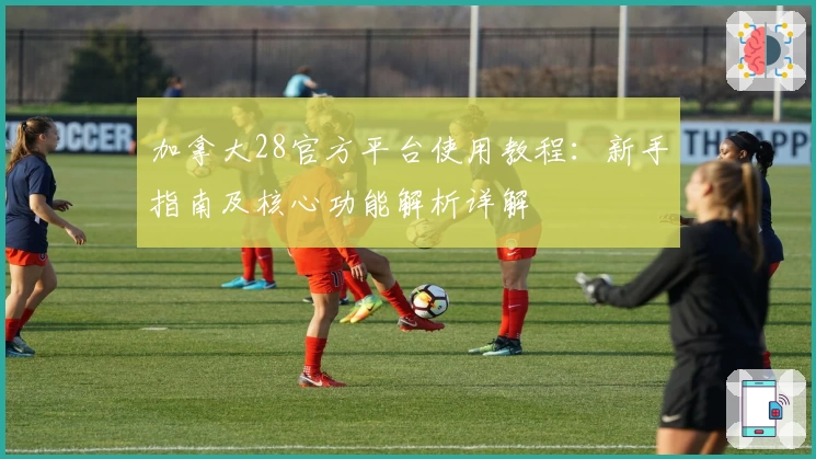 加拿大28官方平台使用教程：新手指南及核心功能解析详解