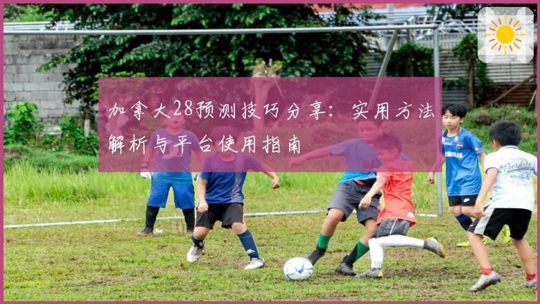 加拿大28预测技巧分享：实用方法解析与平台使用指南