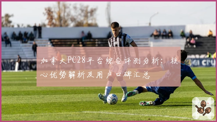 加拿大PC28平台综合评测分析：核心优势解析及用户口碑汇总