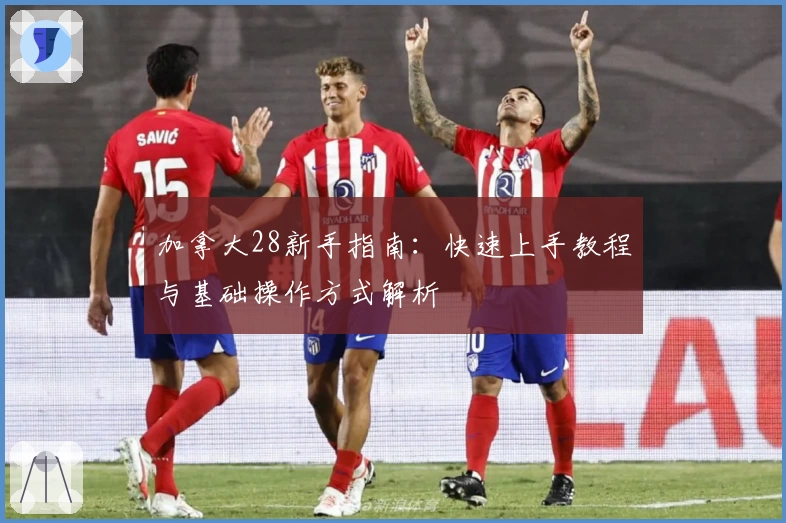 加拿大28新手指南：快速上手教程与基础操作方式解析