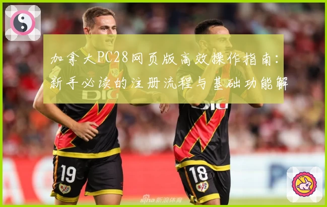 加拿大PC28网页版高效操作指南：新手必读的注册流程与基础功能解析