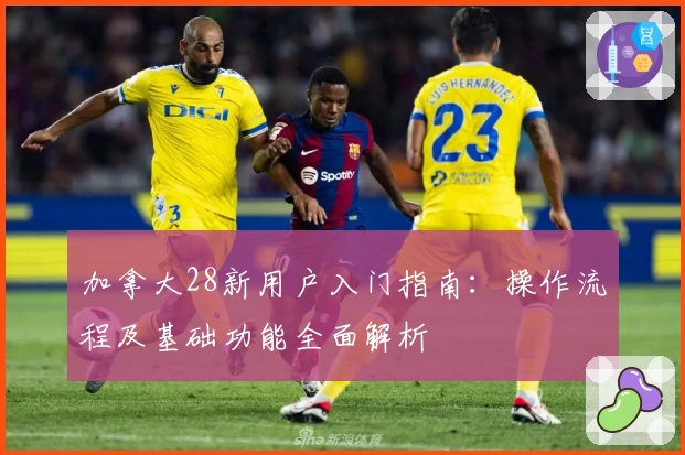 加拿大28新用户入门指南：操作流程及基础功能全面解析