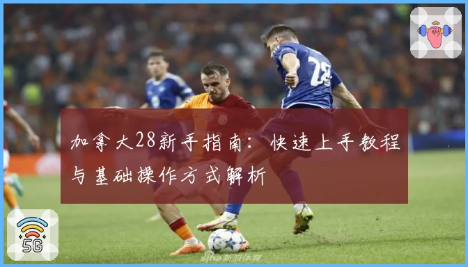 加拿大28新手指南：快速上手教程与基础操作方式解析