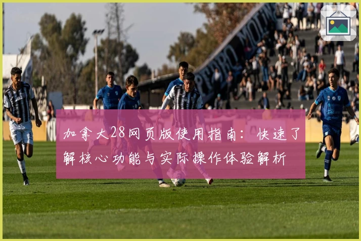 加拿大28网页版使用指南：快速了解核心功能与实际操作体验解析