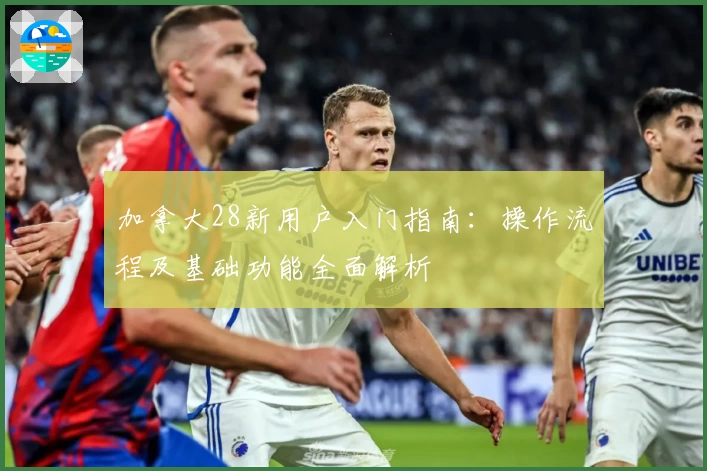 加拿大28新用户入门指南：操作流程及基础功能全面解析