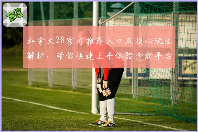 加拿大28官方推荐入口及核心玩法解析，带你快速上手体验全新平台